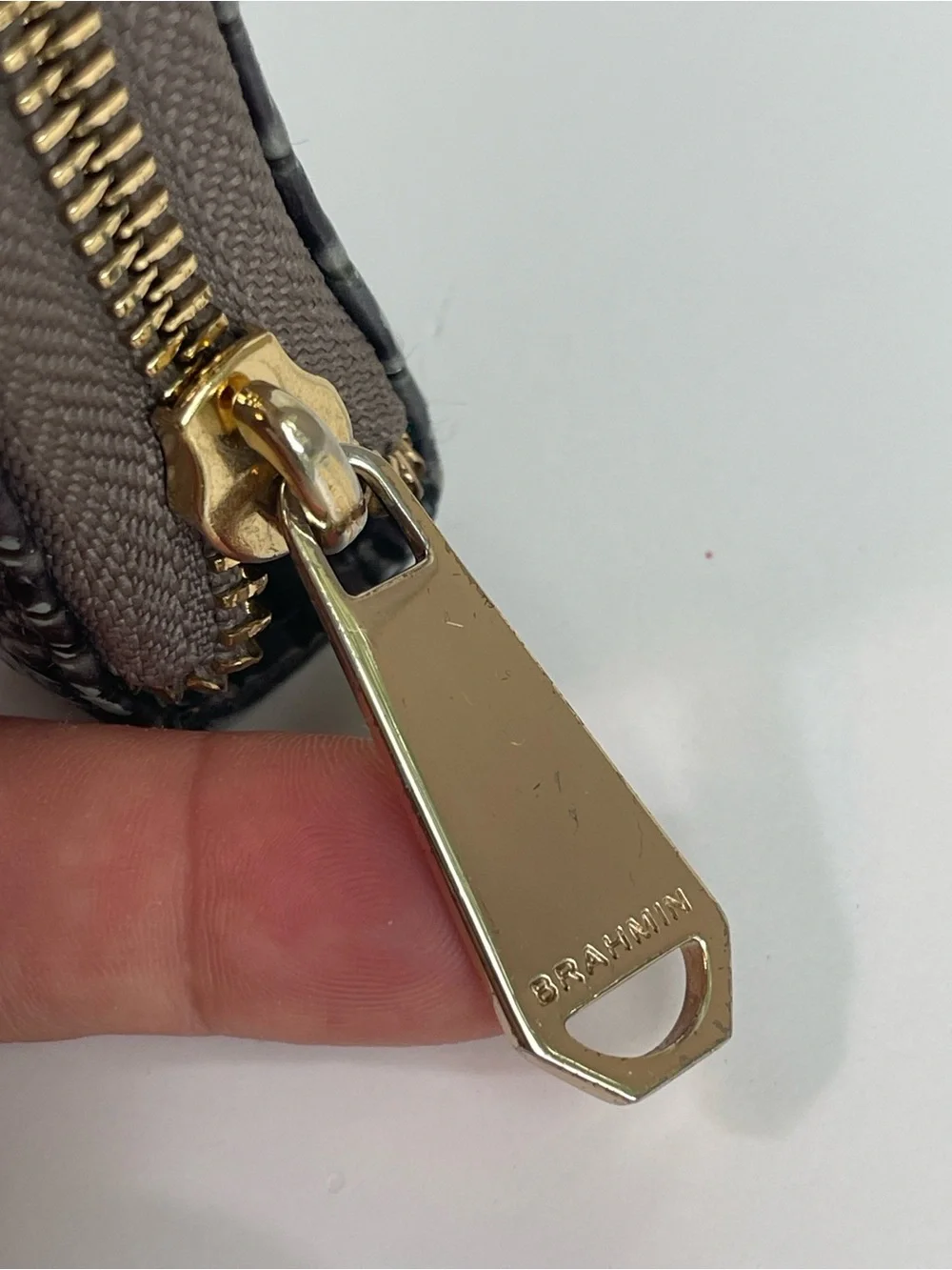 Brahmin The Skyler Clutch